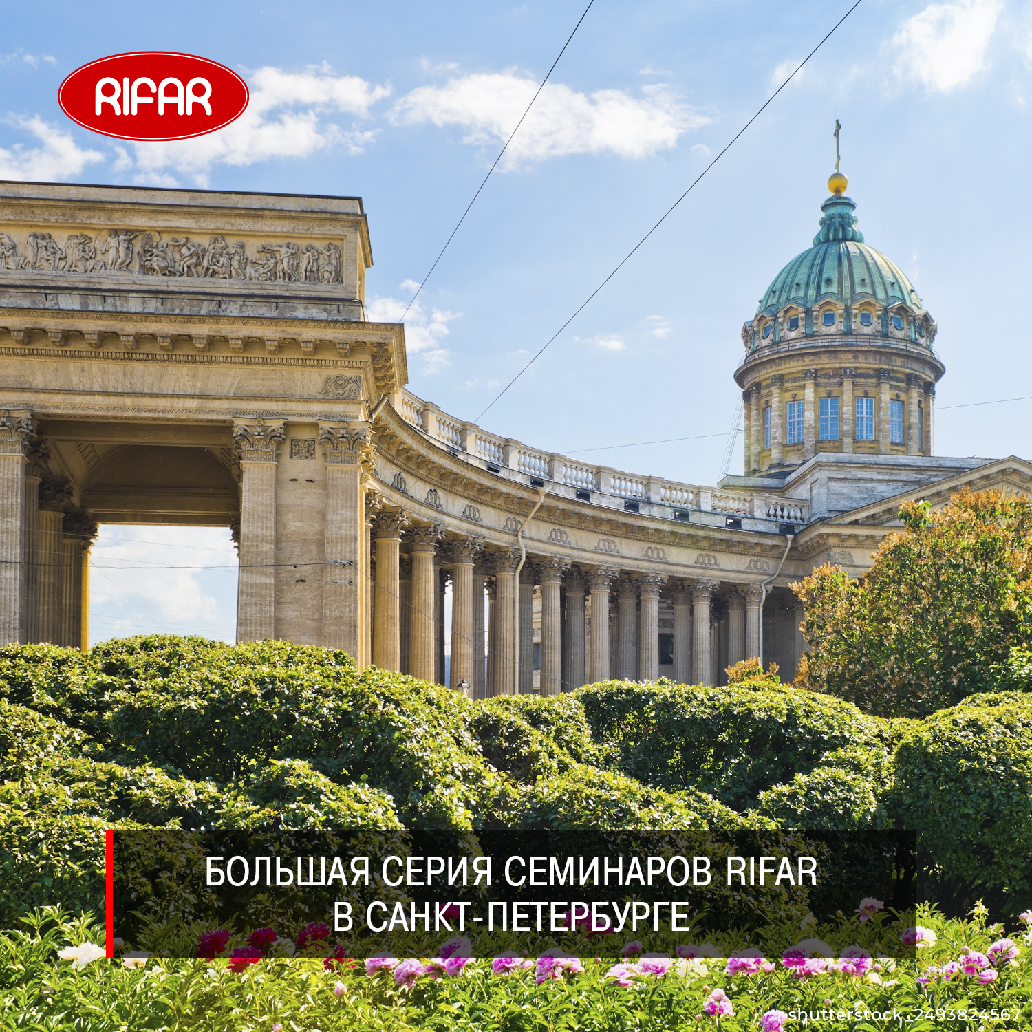    RIFAR  -